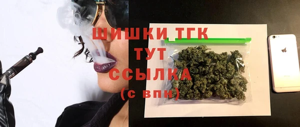 крисы Лабытнанги