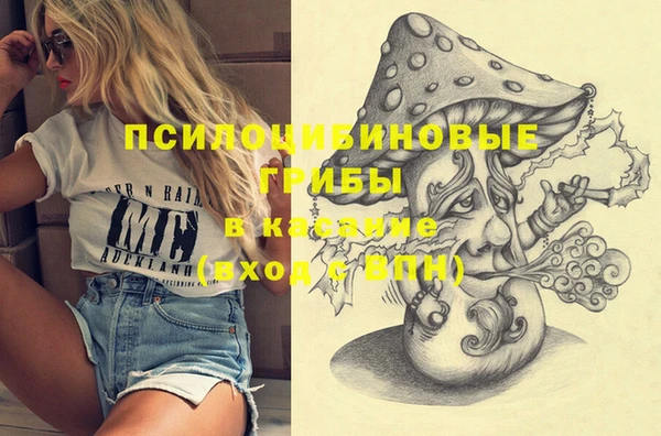 крисы Лабытнанги