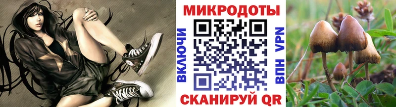 Псилоцибиновые грибы Psilocybine cubensis  Купить где  Духовщина 